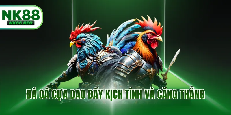 Đá gà cựa dao đầy kịch tính và căng thẳng tại hệ thống